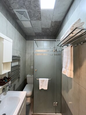 Standard Double or Twin Room | Bathroom | Shower, free toiletries, hair dryer, bathrobes