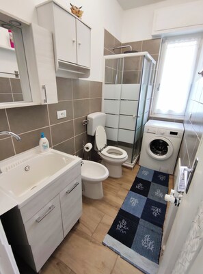 Dusche, Haartrockner, Bidet, Handtücher