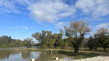 Eine friedliche Seenlandschaft mit blauem Himmel, ruhigem Wasser und Bäumen.