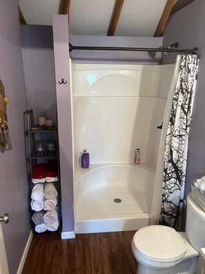 Dusche, Haartrockner, HandtĂŒcher, Seife