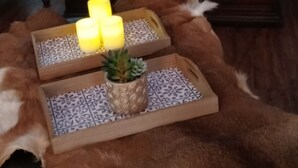 A bedroom with a wooden bed, a canopy, a fur rug, a tray with candles, and a potted plant. - Madison's Only YURT Experience  (Madison)