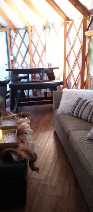Smart TV, fireplace, DVD player, books - Madison's Only YURT Experience  (Madison)