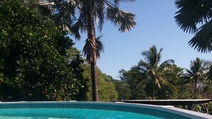 A clear blue pool surrounded by lush greenery and palm trees. - Large studio-prvt entry-prvt bathroom-option A/C (Papaikou)