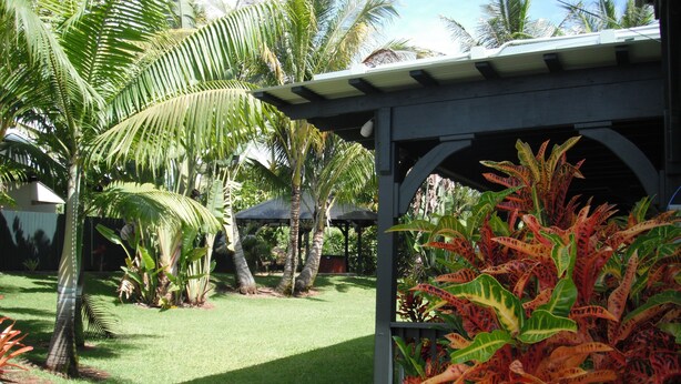 A well-maintained garden with palm trees, a gazebo, and tropical plants. - Large studio-prvt entry-prvt bathroom-option A/C (Papaikou)