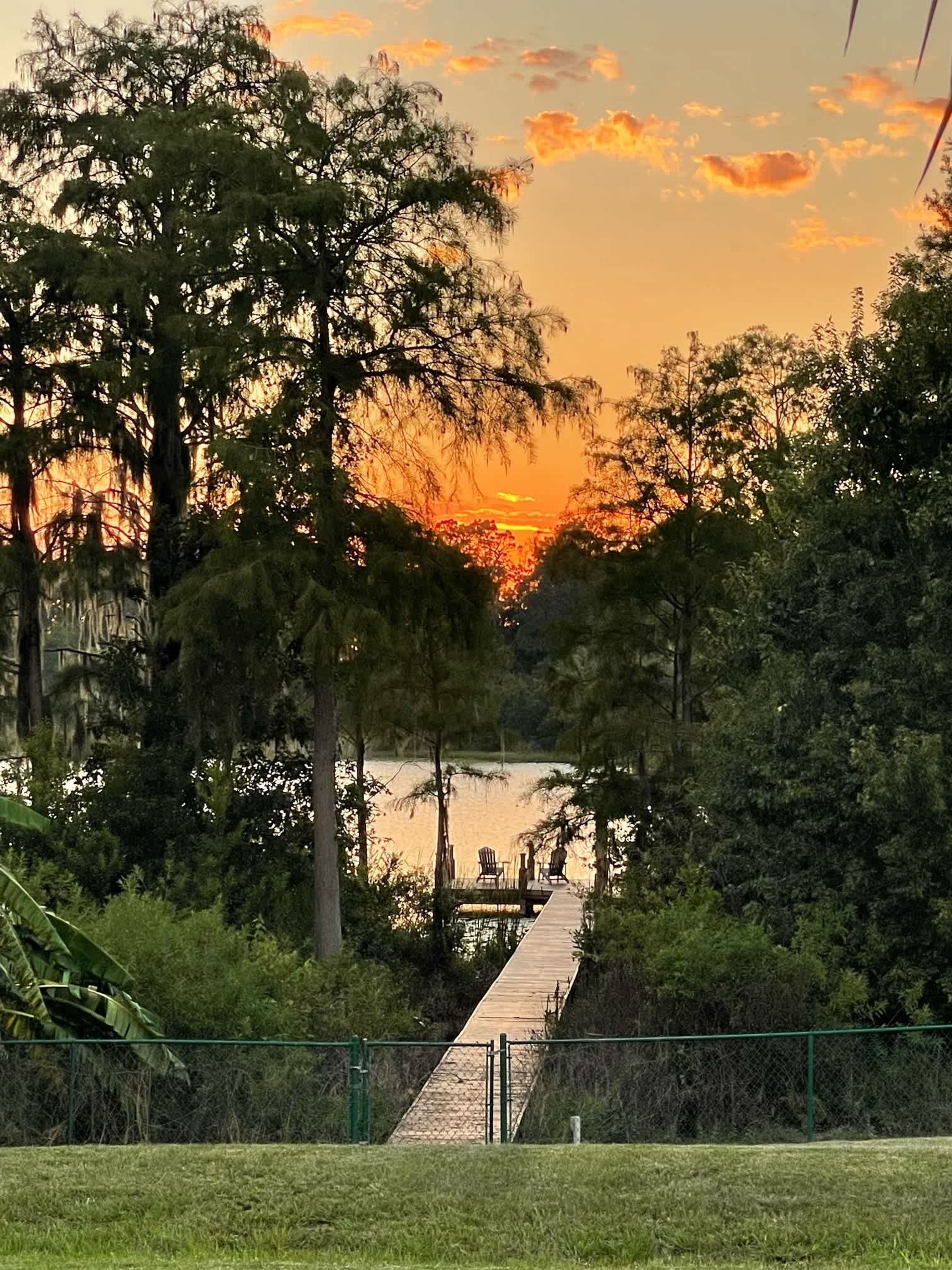 En træbrygge strækker sig ud til et roligt vandareal, omgivet af tæt skov og en solnedgang i baggrunden.