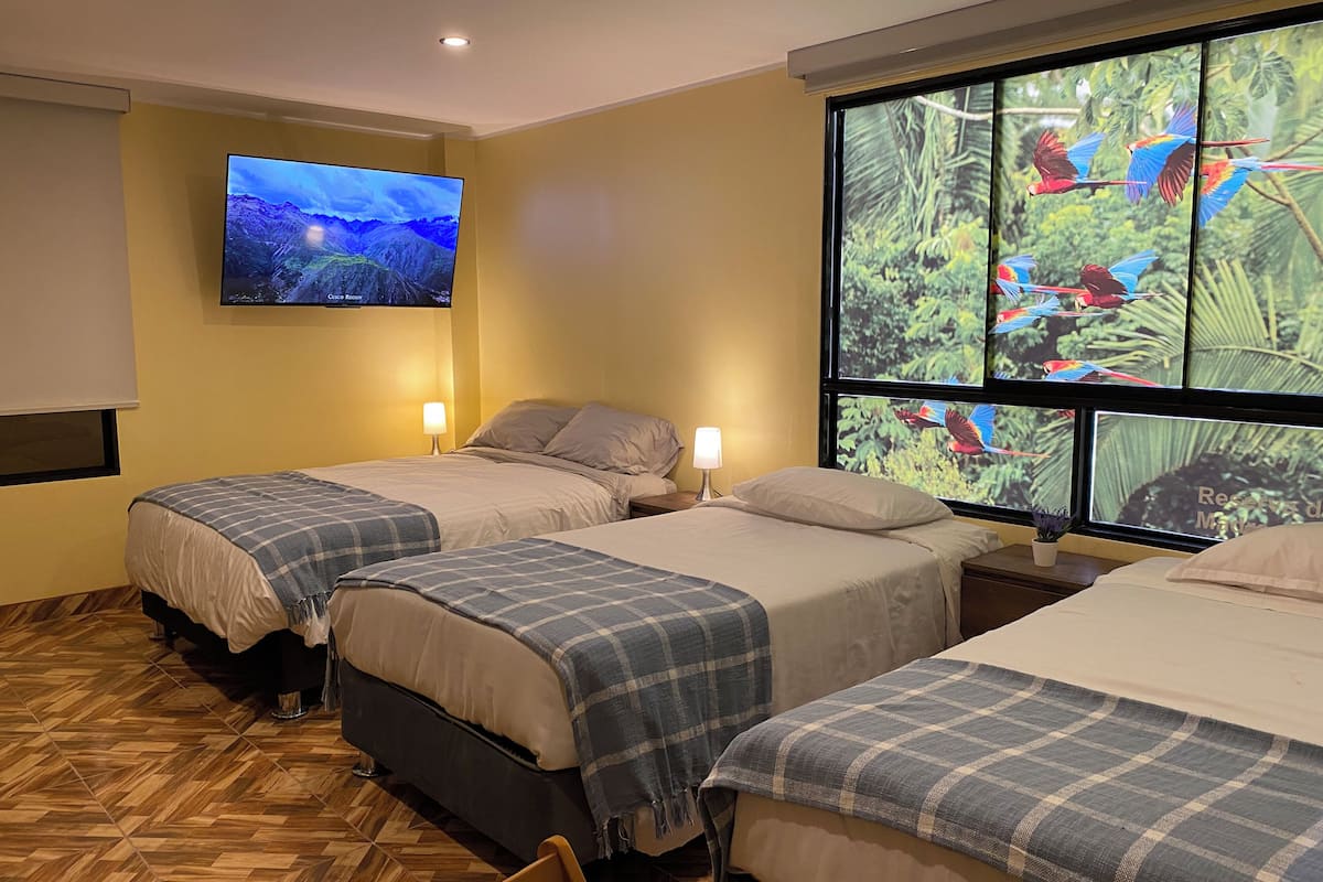 A hotel room with two beds, a TV on the wall, and a large window with a nature scene.