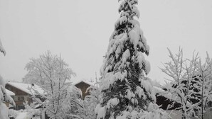 A snow-covered landscape with a large evergreen tree, a wooden bench, and a building in the background. - Relaxation on 2 levels; hiking,cycling from the house, skiing in the surrounding (Großweil)