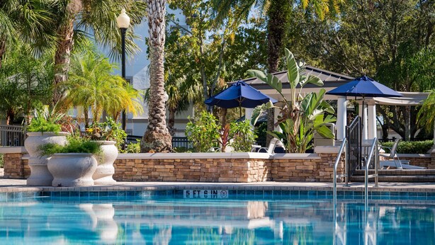 A swimming pool with lounge chairs and umbrellas, surrounded by palm trees and a stone wall.