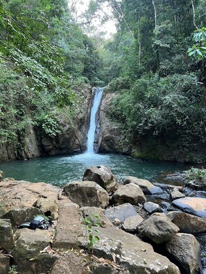 Área da propriedade