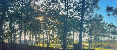 Chalet rustique familial | Terrasse/patio