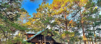 Pine Scape Lodge | Jacuzzi | BBQ | Pool | Mango Hosting