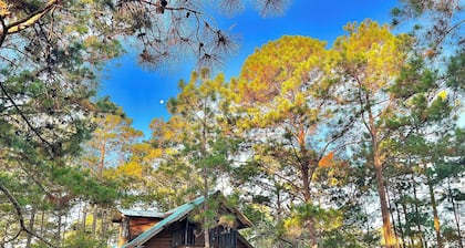 Pine Scape Lodge | Jacuzzi | BBQ | Pool | Mango Hosting