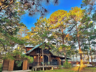 Pine Scape Lodge | Jacuzzi | BBQ | Pool | Mango Hosting