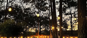 Pine Scape Lodge | Jacuzzi | BBQ | Pool | Mango Hosting