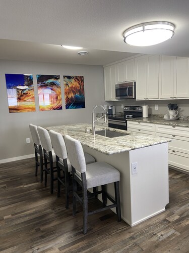 Contemporary 1400 sq ft space in lower level Open concept gas burning fireplace