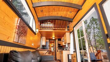 TV connectée, cheminée, livres