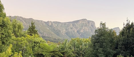 Àrea exterior de l'allotjament