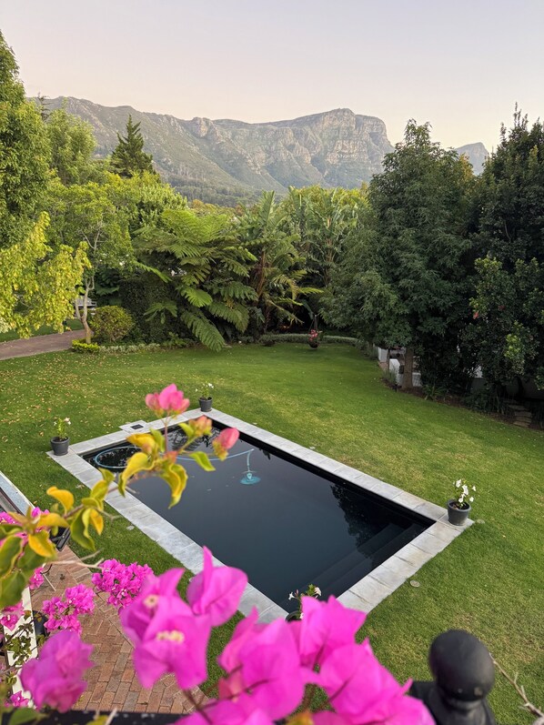 Property grounds - Beautiful Two Bedroomed Cottage en suite with Solar in heart of Constantia (Cape Town)
