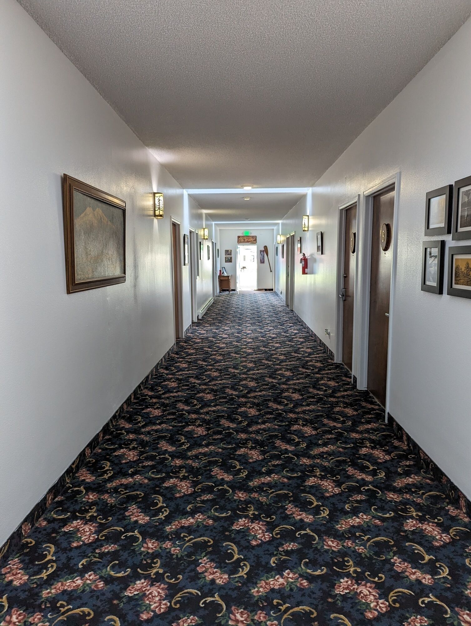 A hotel hallway with a patterned carpet, framed pictures on the walls, and doors with numbers.