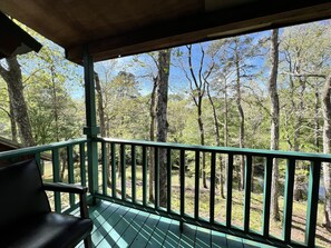 Property grounds - Chatawa Bluffs, an estate like no other within 100 mile radius. New Orleans & BR (Magnolia)