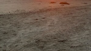 Une plage avec un coucher de soleil sur l’océan.