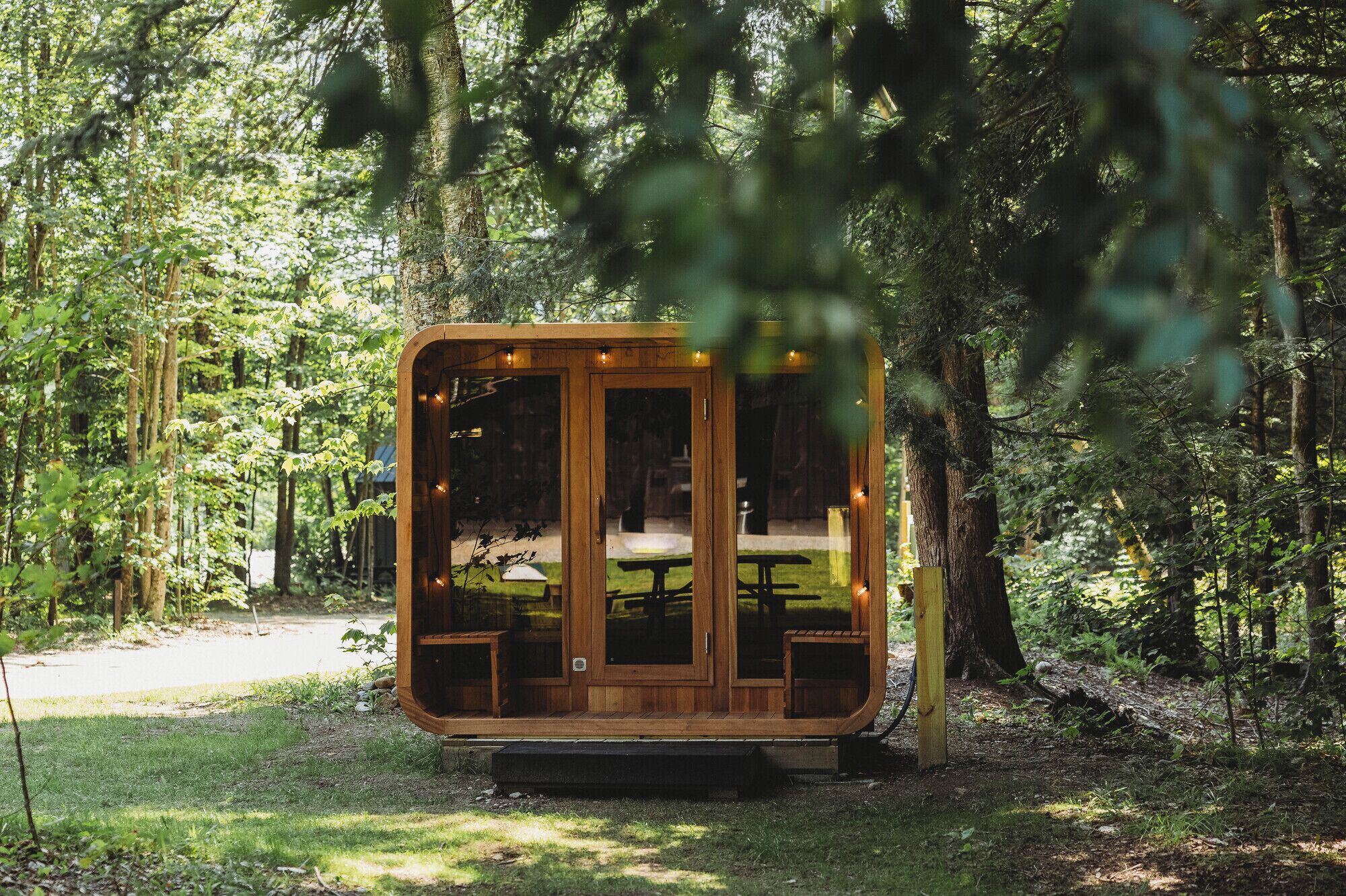 A wooden cabin with a glass door, surrounded by trees.