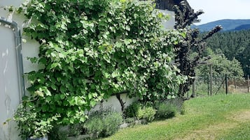 Boendeområde