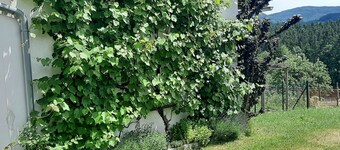 Das Landhaus mit den Vielen Möglichkeiten. Haustierfreundlich!