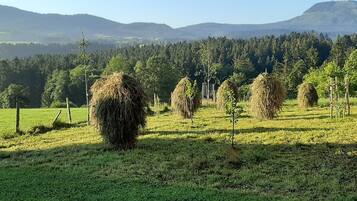 Un paysage rural avec des bottes de foin dans un champ, entouré d’arbres et de montagnes en arrière-plan.