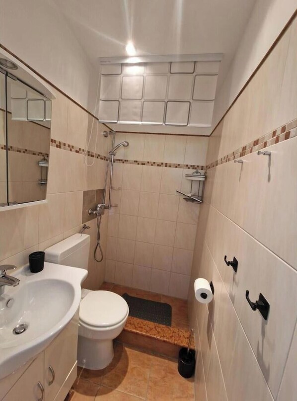 Douche, séchoir à cheveux, serviettes fournies, savon