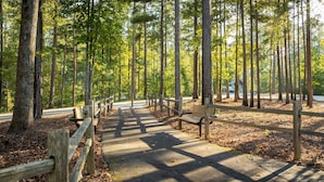 A forested area with a paved path, wooden benches, and a wooden fence.