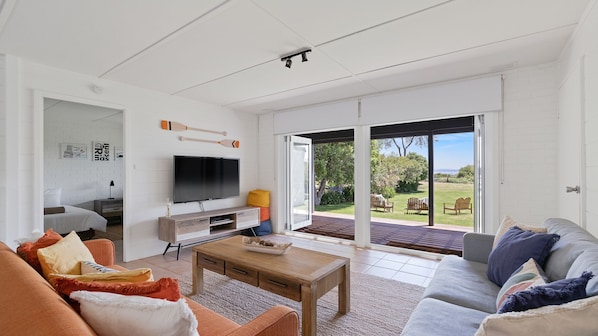 TV, fireplace, DVD player, books