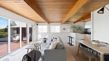 TV, fireplace, DVD player, books