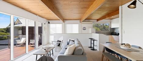 TV, fireplace, DVD player, books