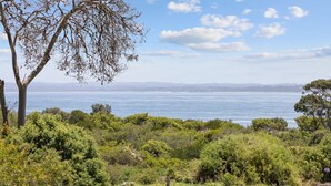 Un paysage côtier caractérisé par une végétation luxuriante et une vue sur la mer.
