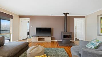 Televisión, chimenea