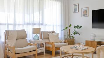 TV, fireplace, books