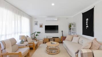 TV, fireplace, books