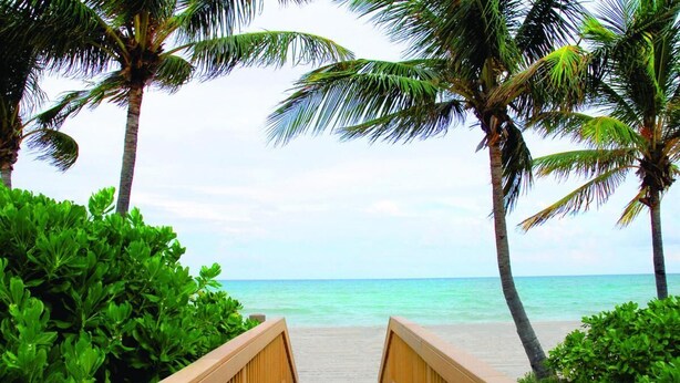 A wooden pathway leading to a beach with palm trees and clear blue water.