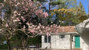 A small house with a green door, a deck with wooden benches, and a tree with pink blossoms. - Country Home, outdoor spaces, secluded but close to everything (Traverse City)