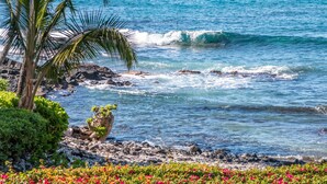 Una costa rocosa con olas, una palmera y flores coloridas.