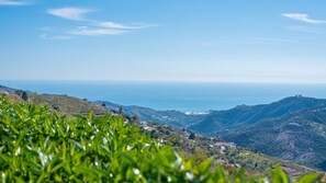 Miscellaneous - Casa Candado Cómpeta by Ruralidays (Málaga)