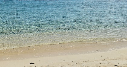 Immerse Yourself in Luxury at our breathtaking beachfront Condo!