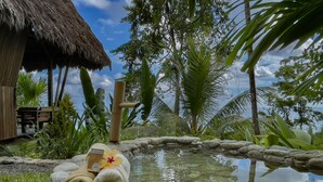 A tropical resort with a thatched-roof hut, a stone water feature, and lush greenery. - Finca Exotica ecolodge (Puerto Jiménez)