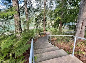 Un escalier en béton, entouré d’arbres, mène à un bâtiment.