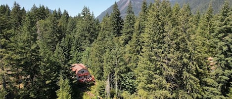 A cabin surrounded by dense forest with a mountain in the background.