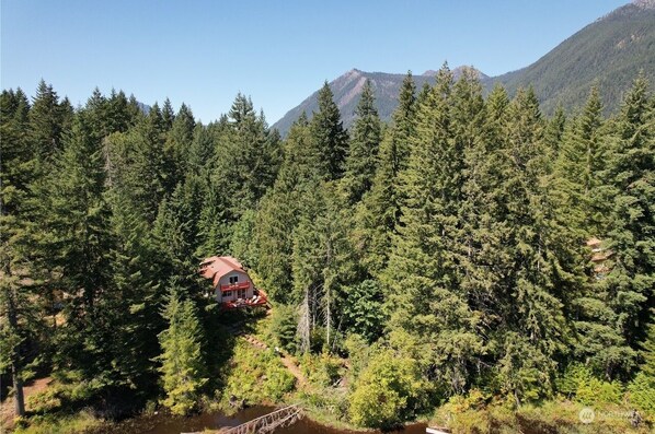 Una cabaña rodeada de un bosque frondoso con una montaña al fondo.