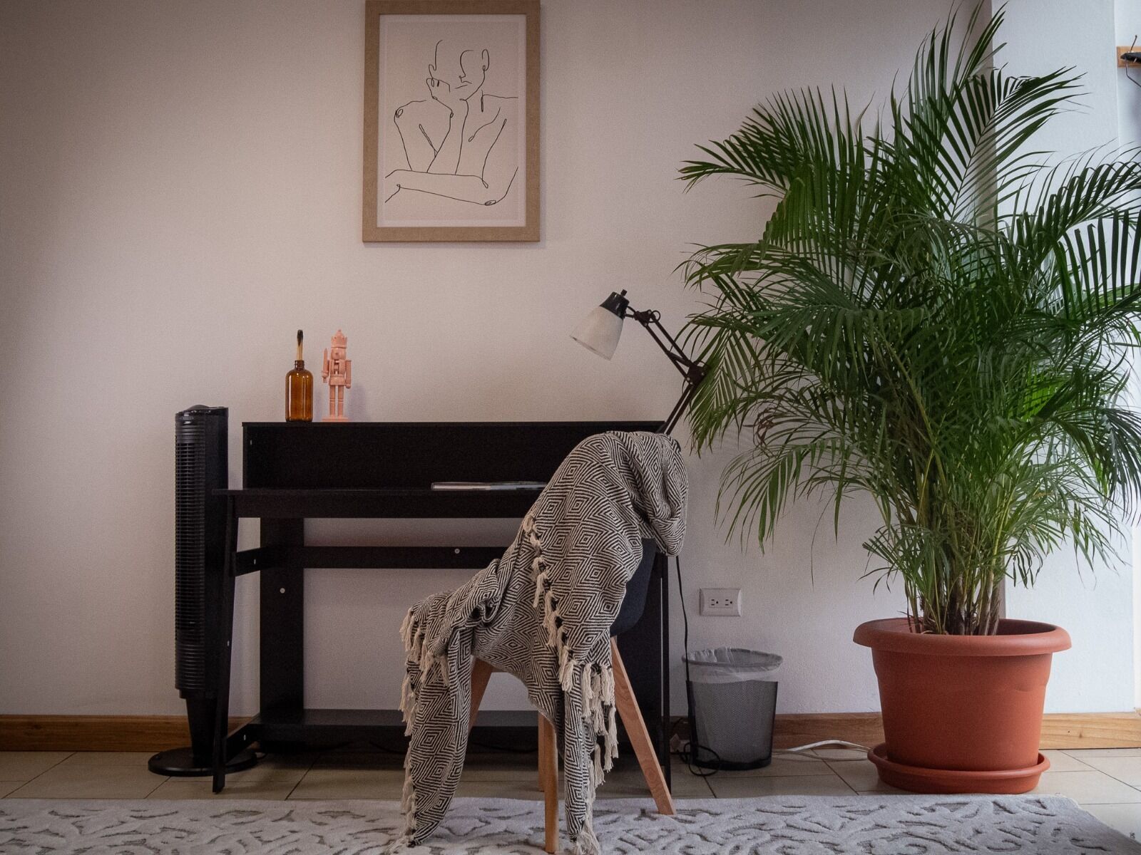 Foto - Lolas Hostal, Habitacion Compartida Exclusiva para Mujeres, 3 camarotes, precio por cama