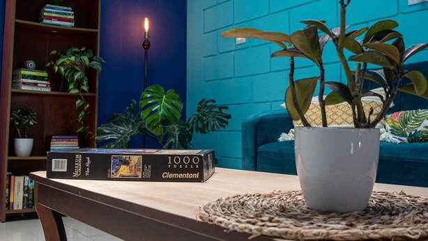 A room with a bookshelf, a potted plant, a puzzle box, and a blue brick wall. - Lolas Hostal (San José)