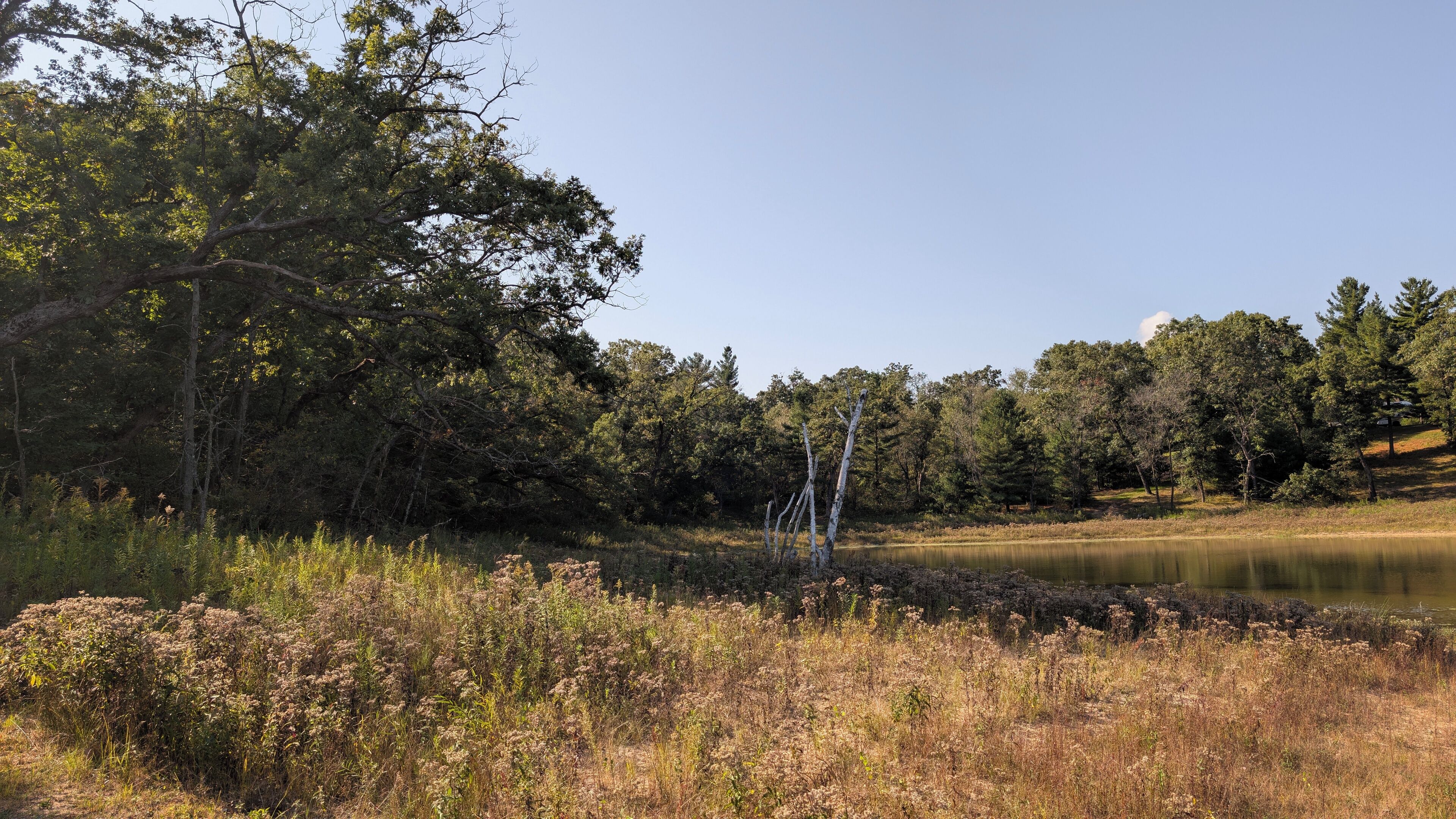 A natural landscape with a pond, trees, and grassy areas.